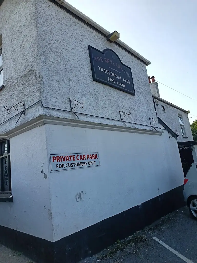 laura dunn_The Skylark Inn_Yelverton_reseña