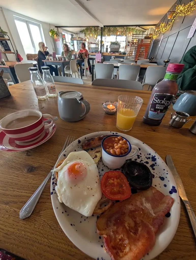 Lizzy Rogers_Salt Café_Borough of Fareham_review
