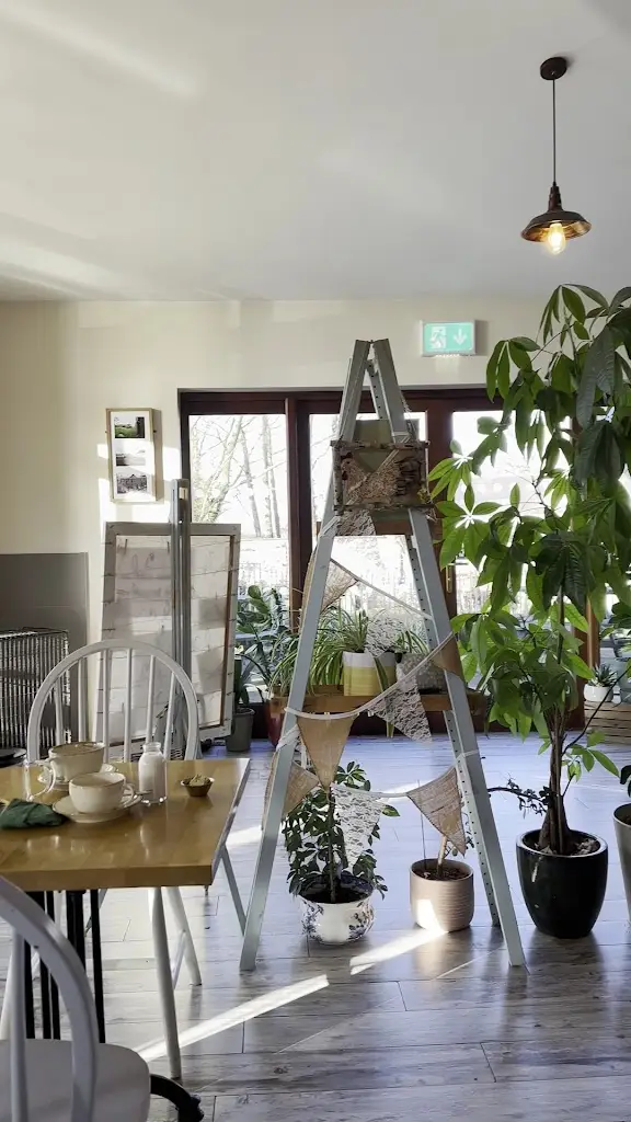 David Munroe_Mill Farm_Annahilt_review