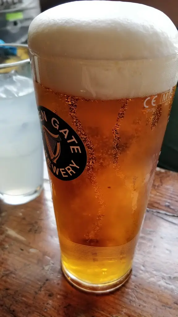 Menu_The Plough Inn_Annahilt_image_5