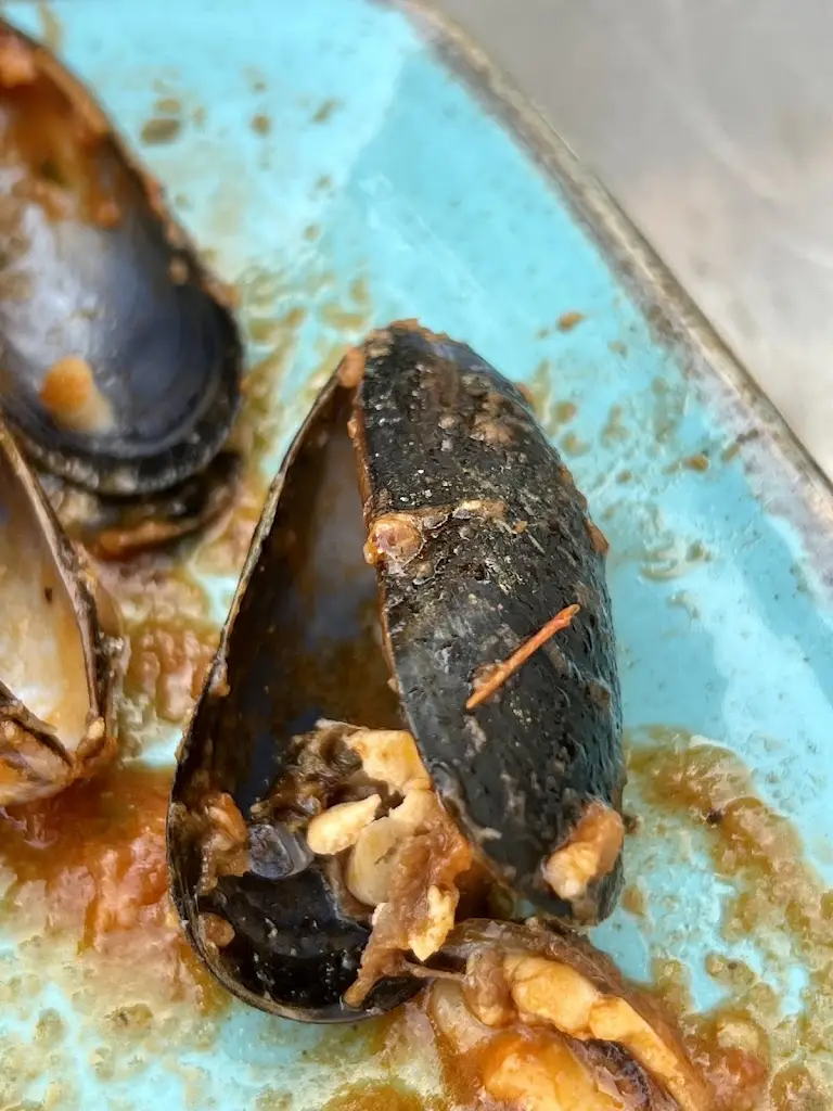 Daisy D_Il Piacere_Yeadon_review