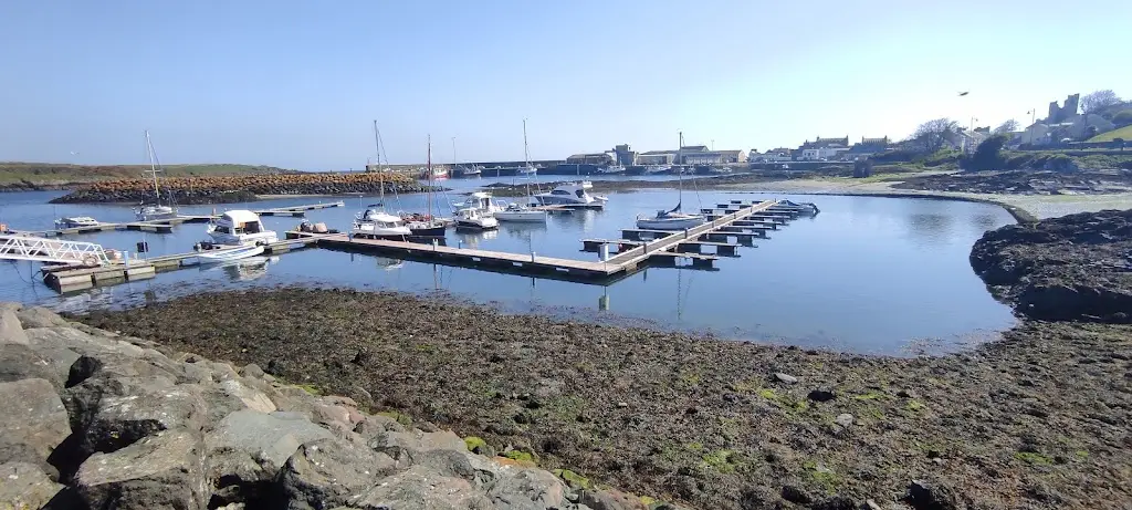 Doc's Fish & Chips, Ardglass_Ardglass_slider_image_3