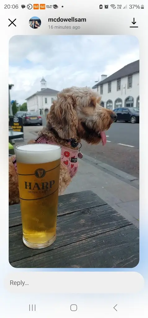 Menu_Maddens Bar & Grill Antrim_Antrim_image_5