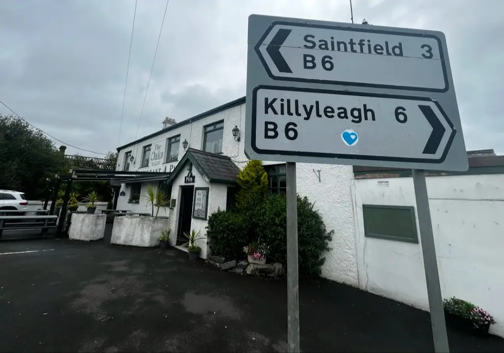 J. DeCourcy_The Oaks Bar & Restaurant_Ballynahinch_review