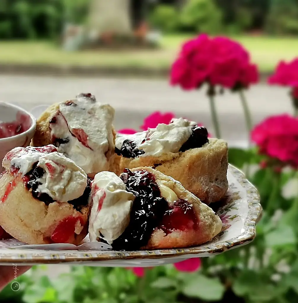 Menu_Oranmore House_Ballymena_image_6