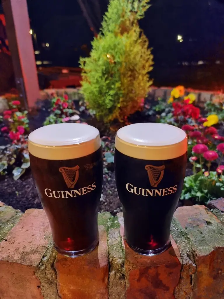 Menu_The Well Bar and Grill_Ballykelly_image_5