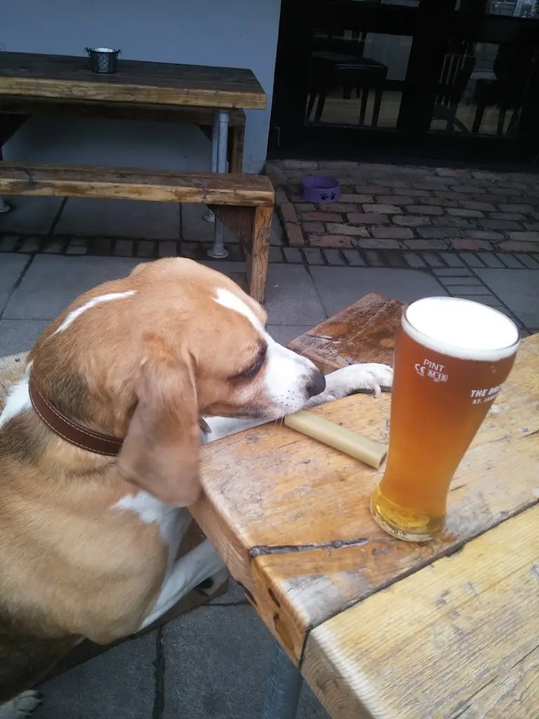 Menu_Grace Neill's_Ballywalter_image_6