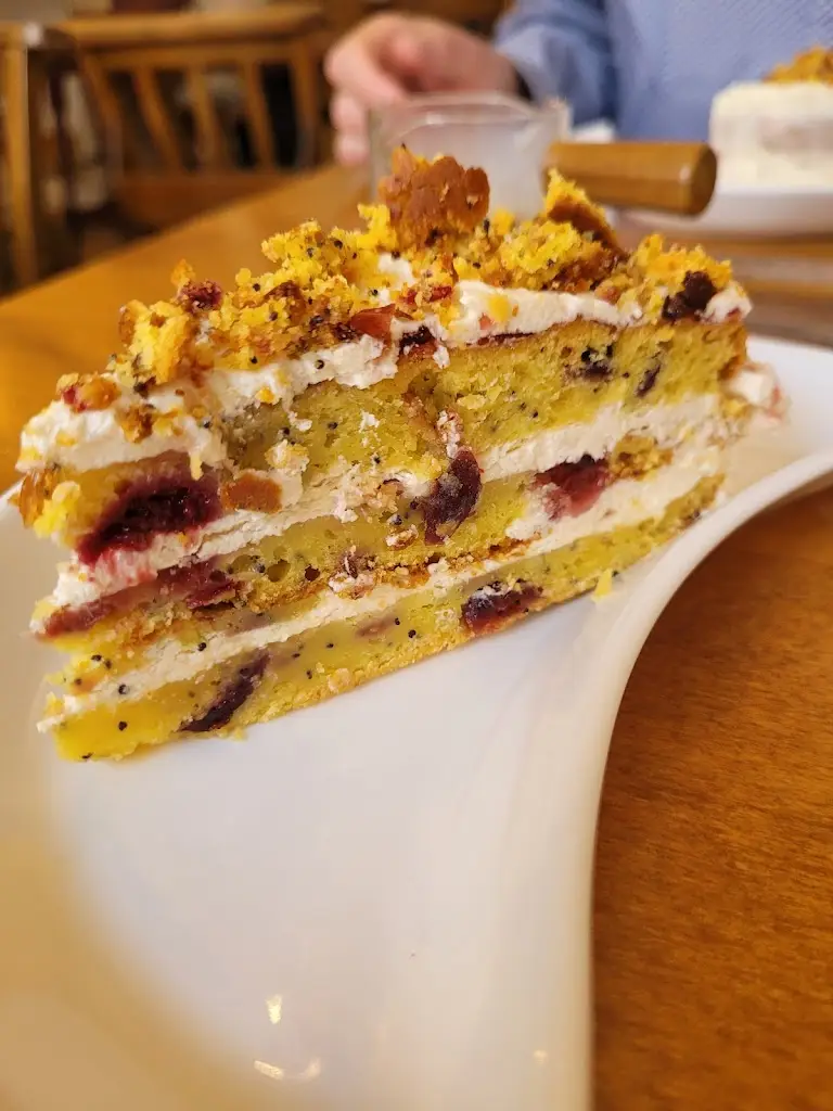 Michelle Vondey_domu_Bangor_review