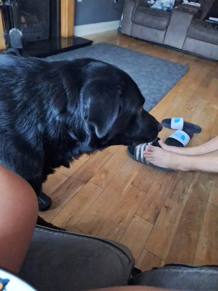 leanne murray_Mr Chef_Castlewellan_review