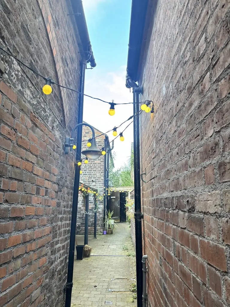 Erin Locascio_Molly's Yard_City of Belfast_review