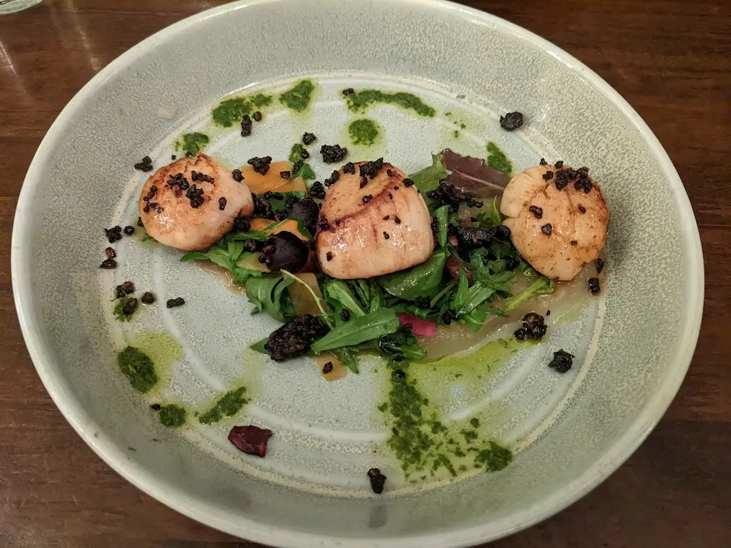 Rusty Madra_Molly's Yard_City of Belfast_review