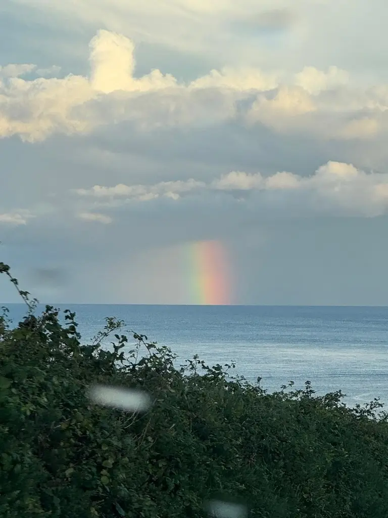 Will Hoey_Mary McBride's Bar_Cushendall_recensione