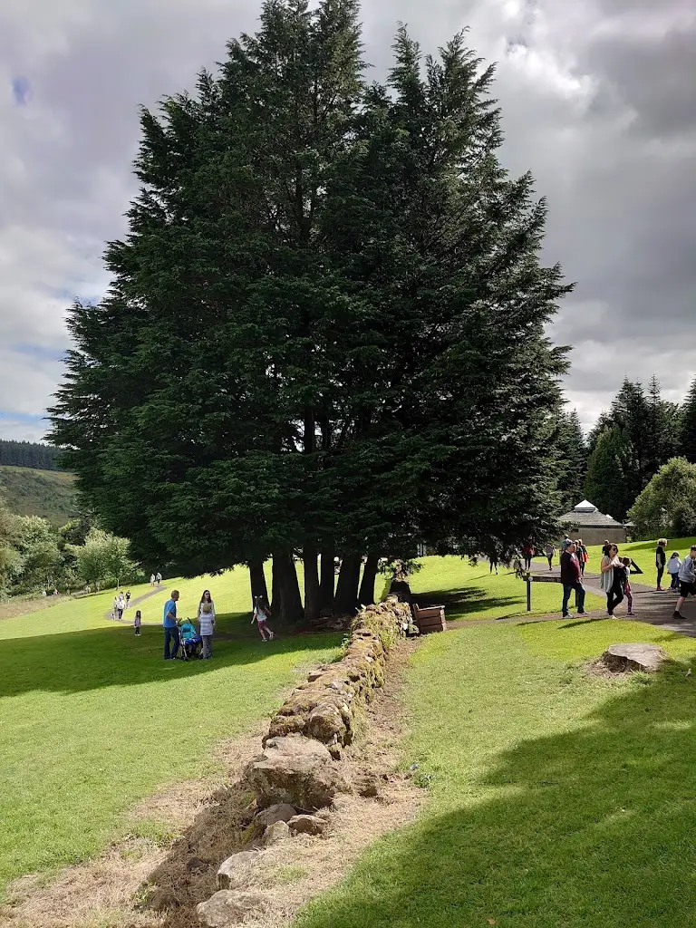 Denise McS_Glenariff Tea House_Glenariff_review