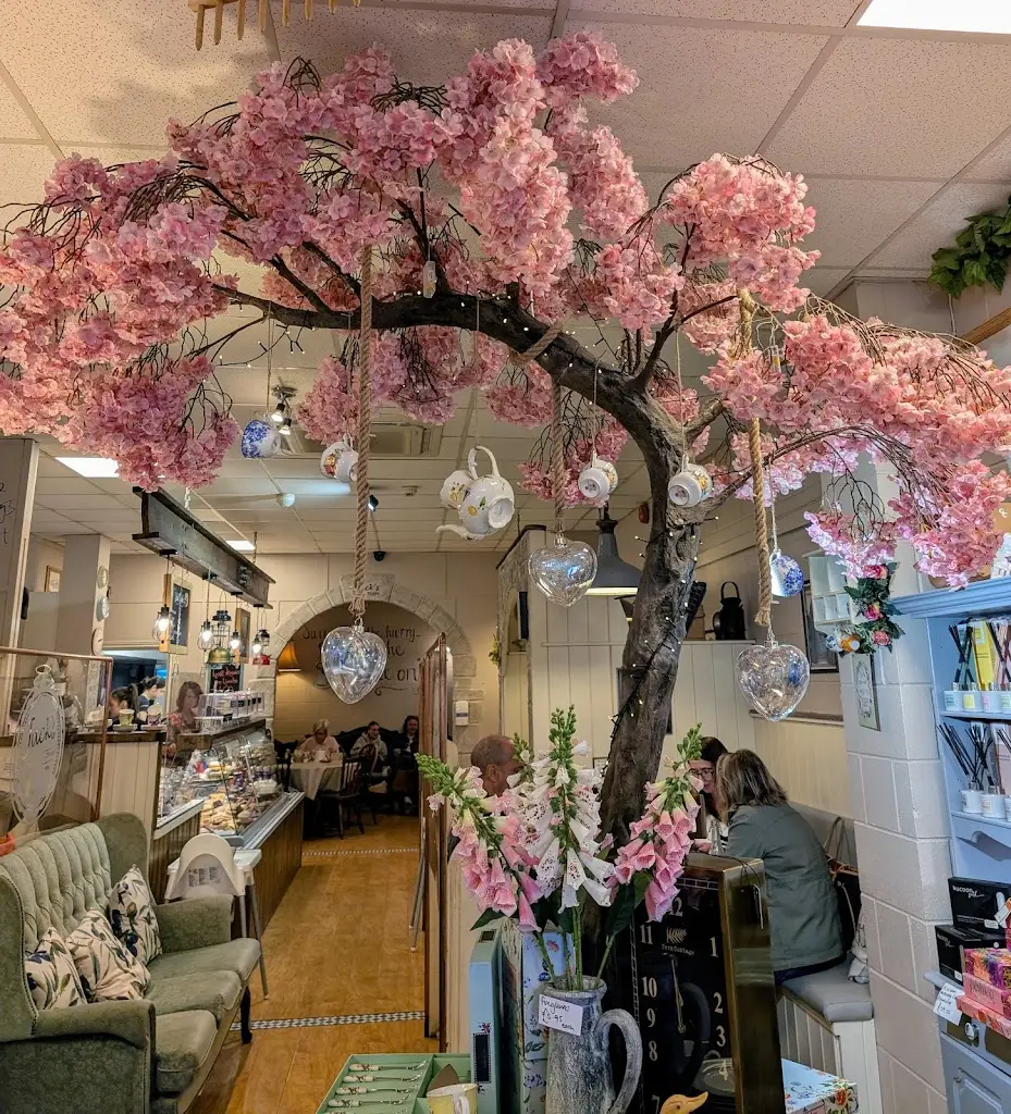 Patricia Wylie_Jacks_Fintona_review