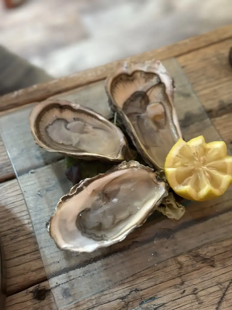 Annie Builder_Le Petit Monde_Bideford_review