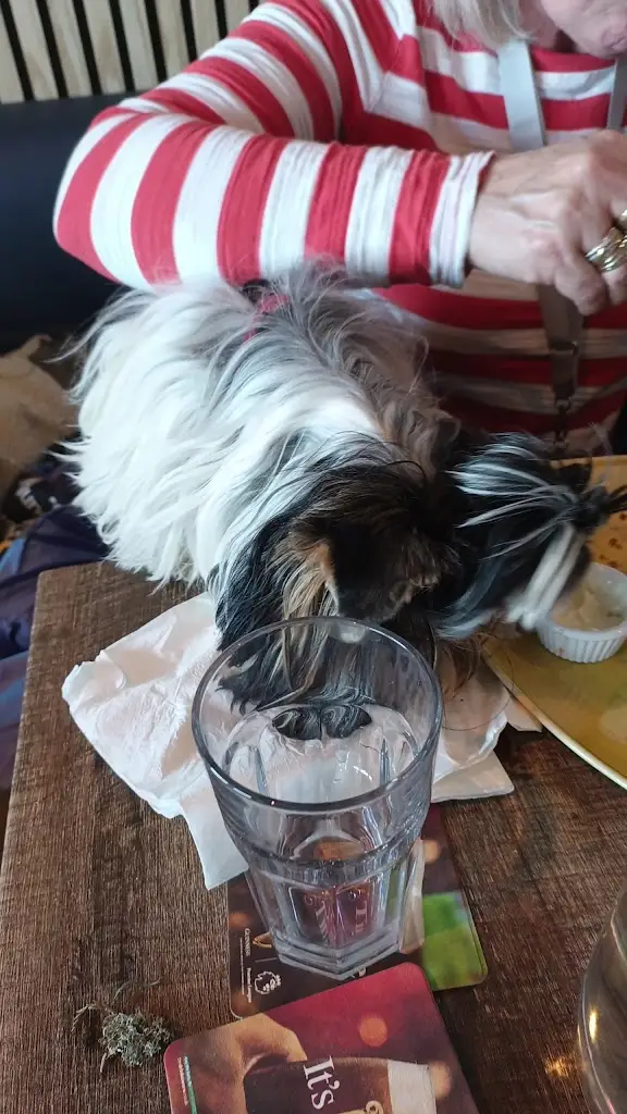 JAN K._Bureau by the Lough_Jordanstown_review