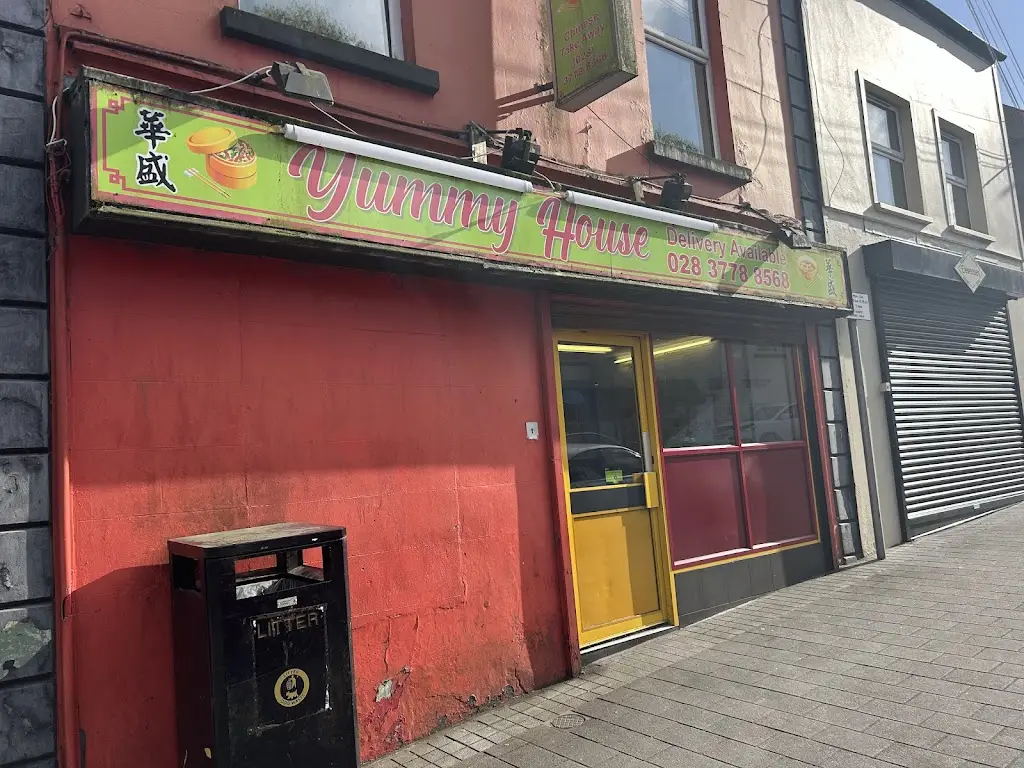 Byron Deithrick_Yummy House_Keady_review