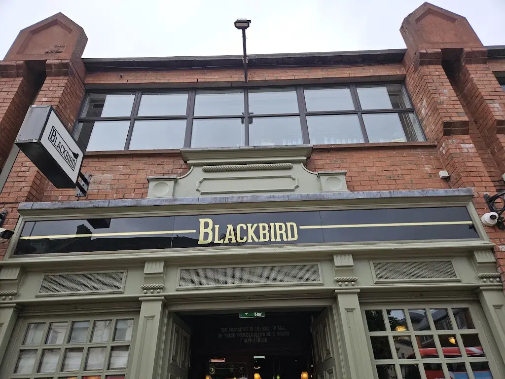 Morgan Ditchburn _Blackbird_Derry_review