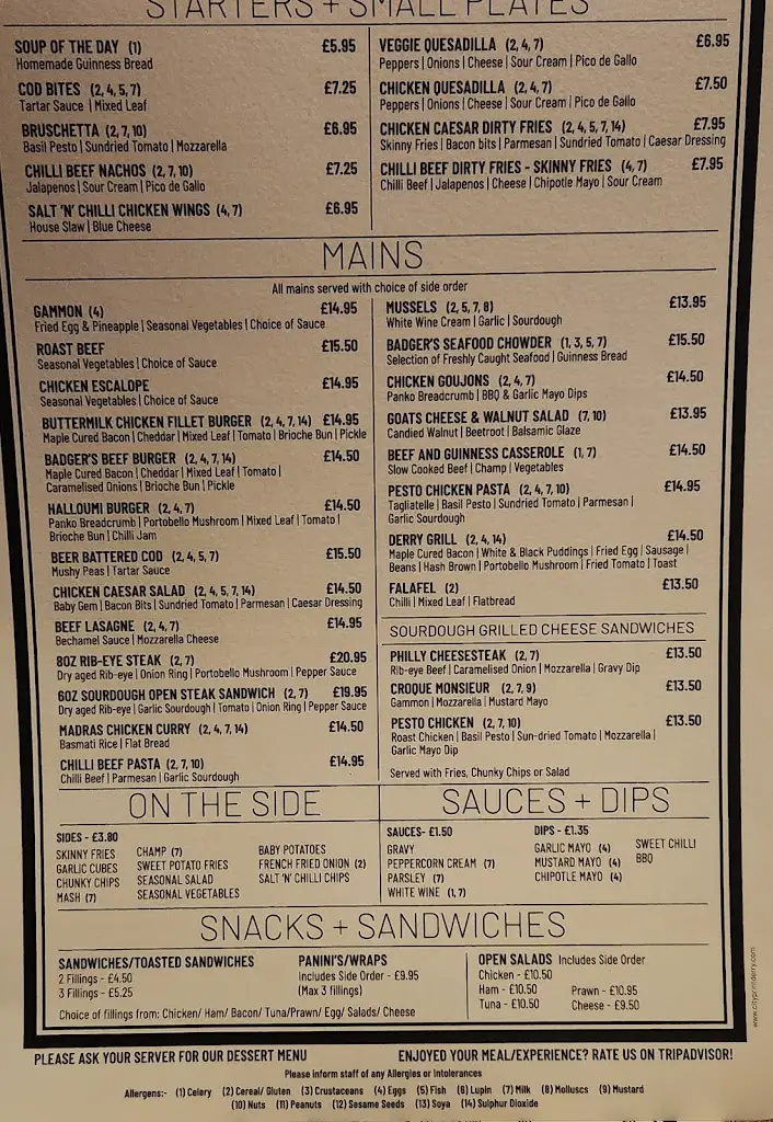 Menu_Badgers Bar and Restaurant_Derry_image_3