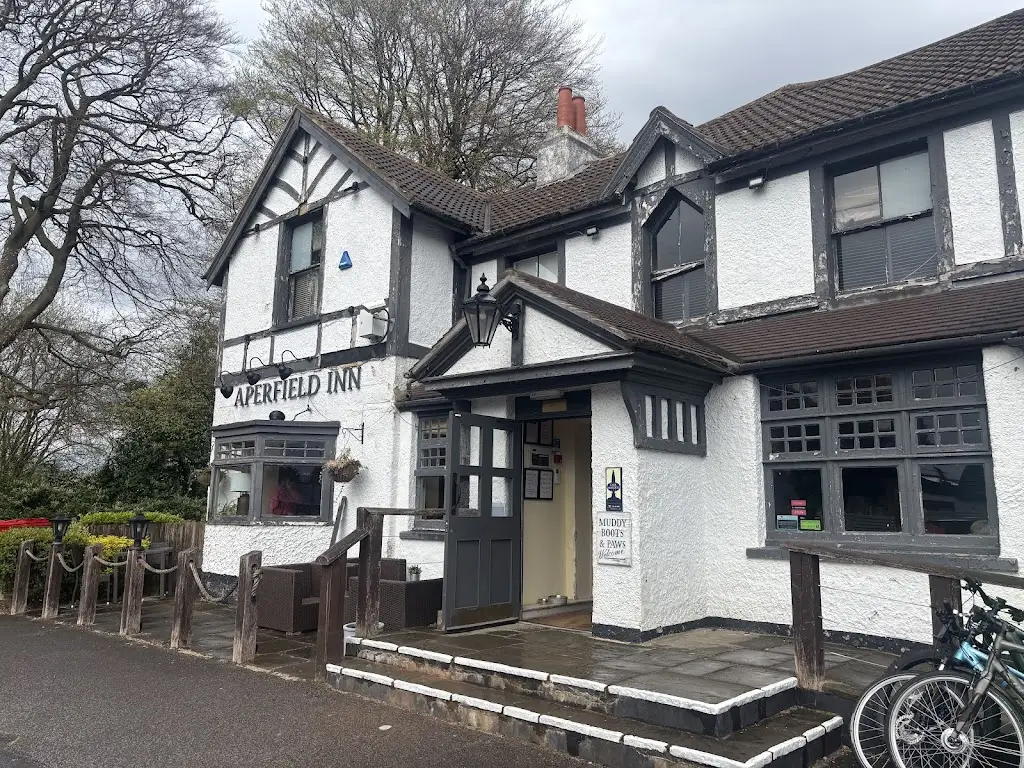 Emma Anderson_The Aperfield Inn_Biggin Hill_review