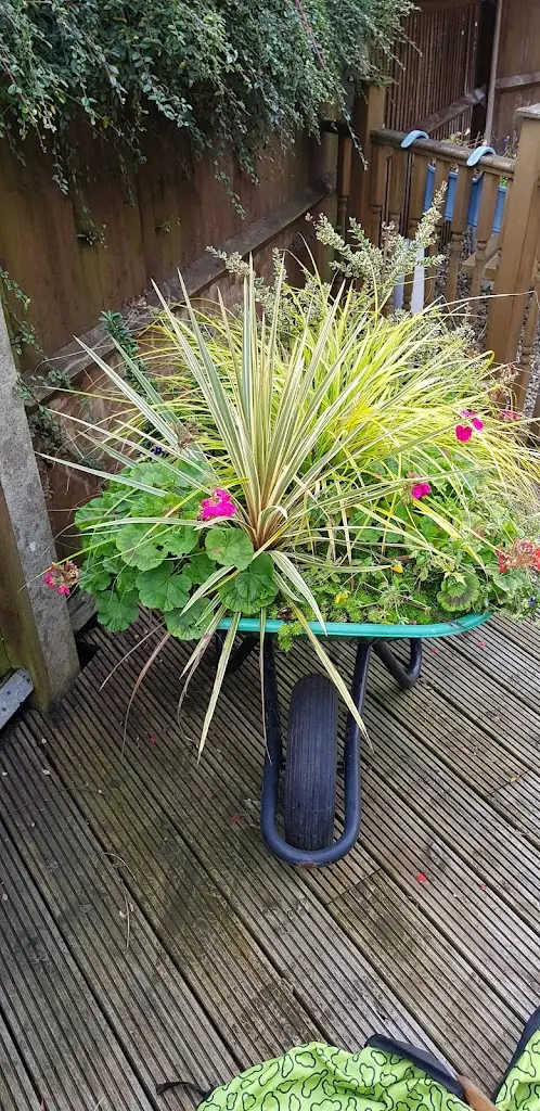 Buddeanie Fox_The Black Horse_Biggin Hill_review