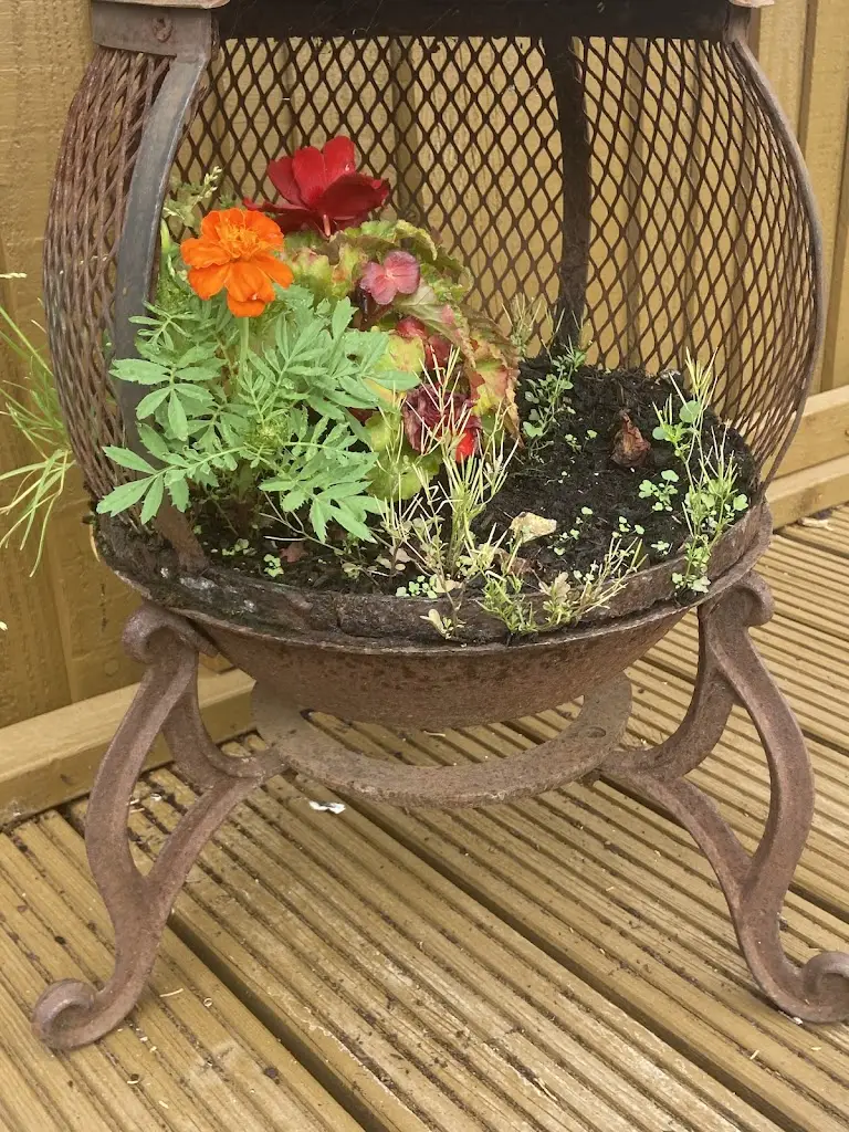 •_- Sh3W0lf -_•_The Black Horse_Biggin Hill_review