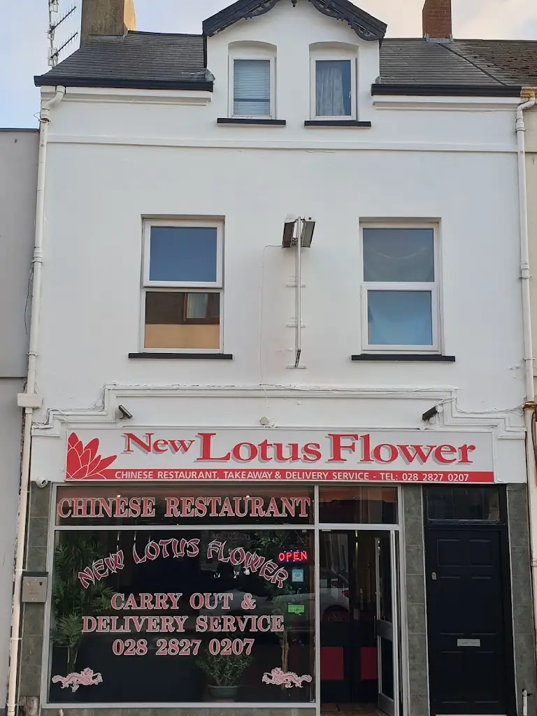 New Lotus Flower - Restaurant Takeaway & Delivery restaurant à Larne
