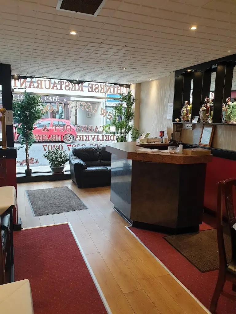 New Lotus Flower - Restaurant Takeaway & Delivery_Larne_slider_image_3