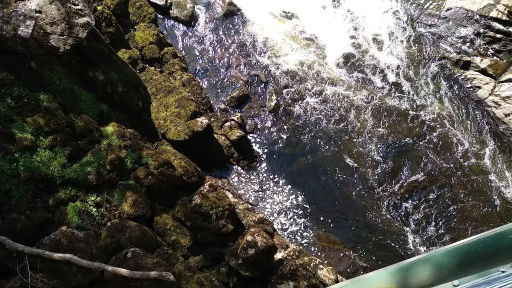 The Falls of Feugh Restaurant_Aberdeenshire_slider_image_2