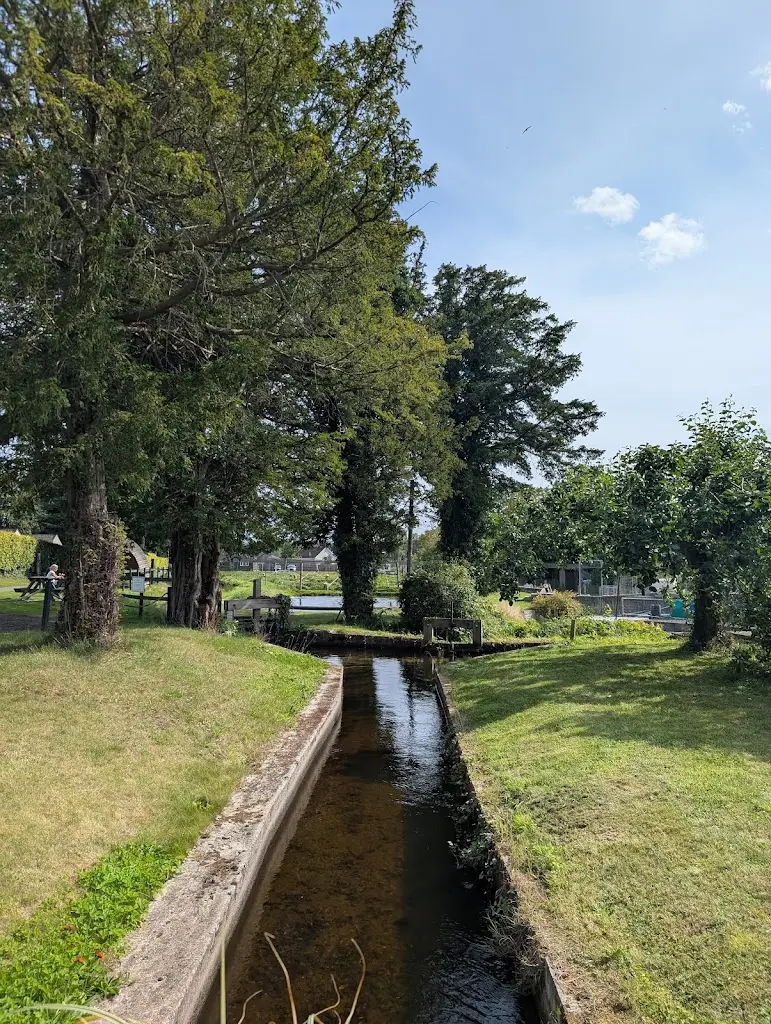 Silvya JP_Tickled Trout Cafe_Almondbank_review