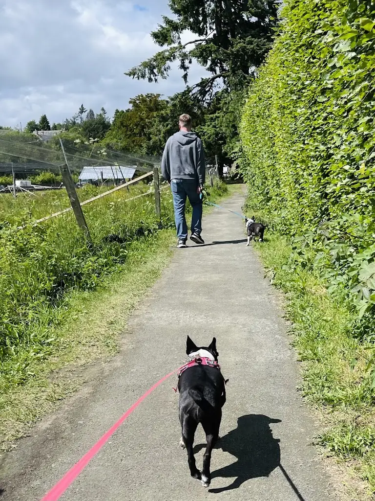 Vic Reeves_Tickled Trout Cafe_Almondbank_review