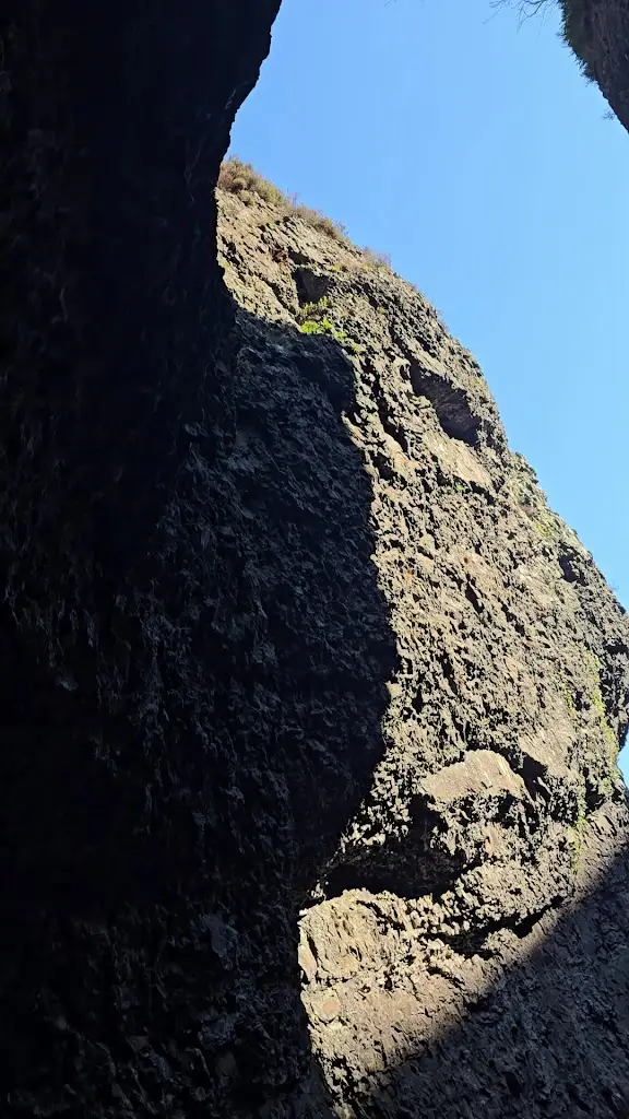 Leon Gourlay_Alva Glen_Alva_recensione