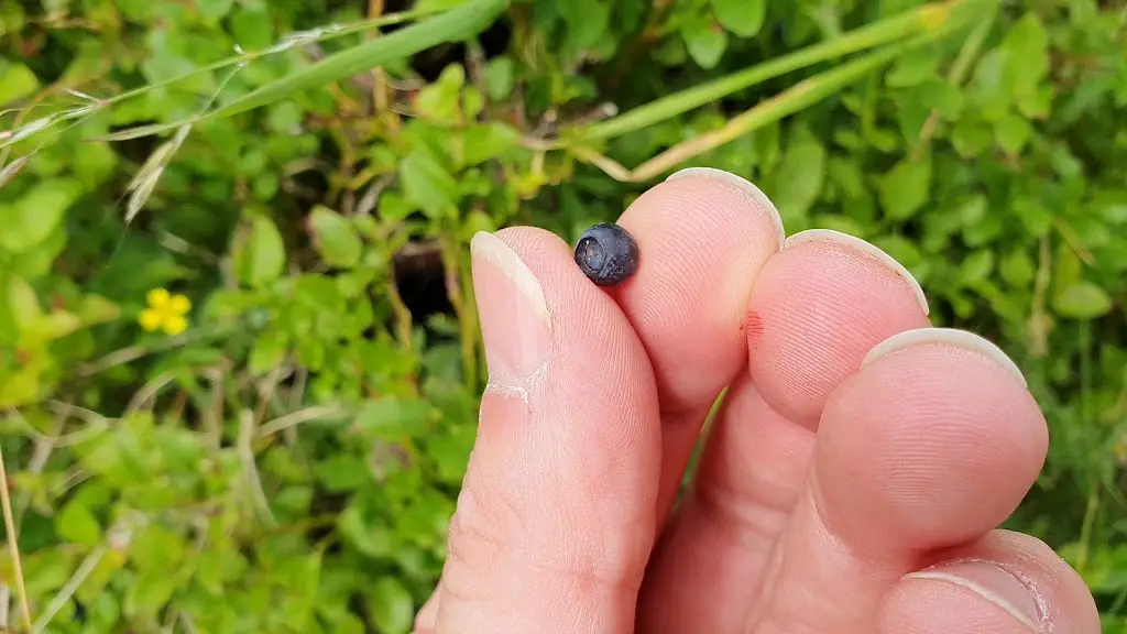 Alva Glen_Alva_slider_image_2