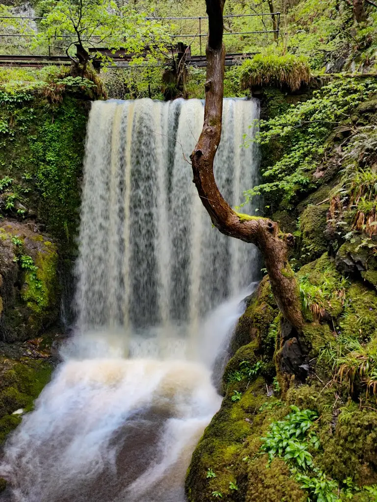 Alva Glen_Alva_slider_image_3