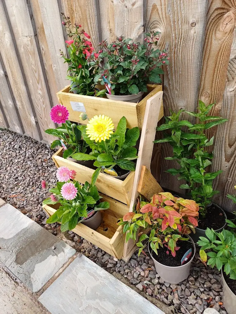 Sue Brown_Dalmore Farm Shop & Restaurant_Alness_recensione