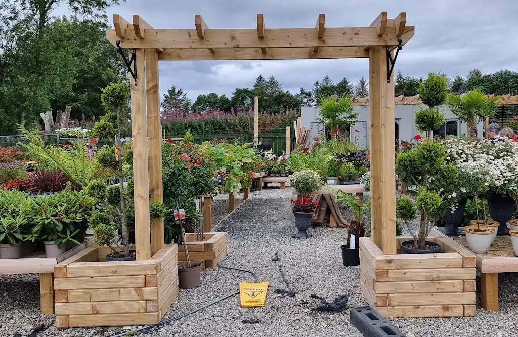 Bob Cooper_Cafe Tomich Limited_Alness_review