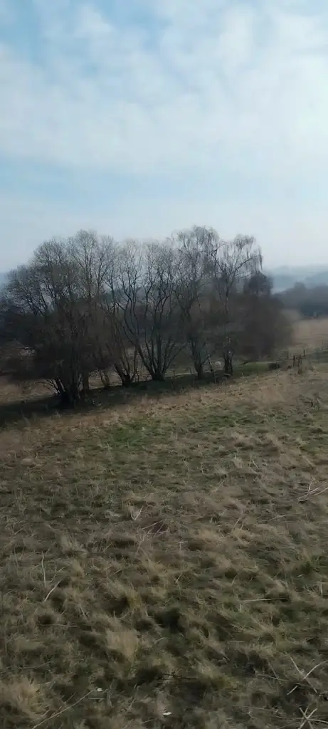 David Fitzpatrick_Café in the Square_Alyth_review