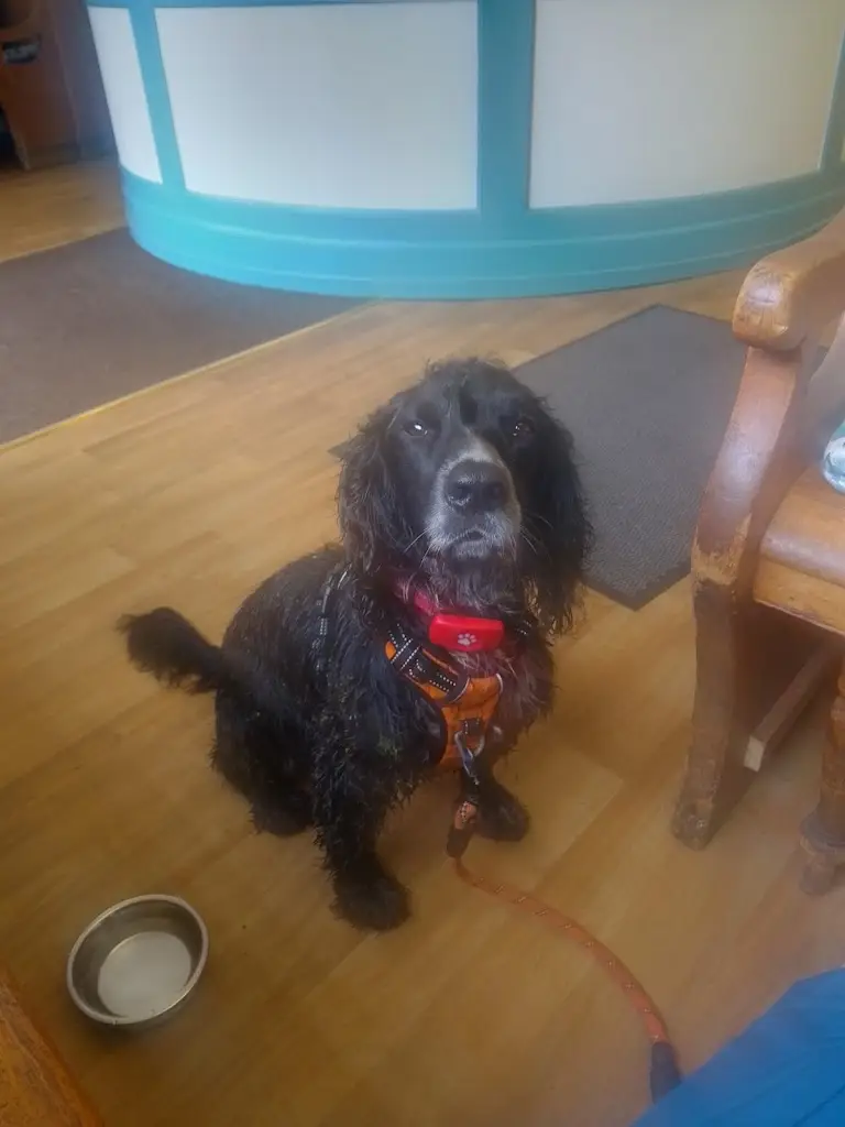 David Glover_The Dome Restaurant_Alyth_review