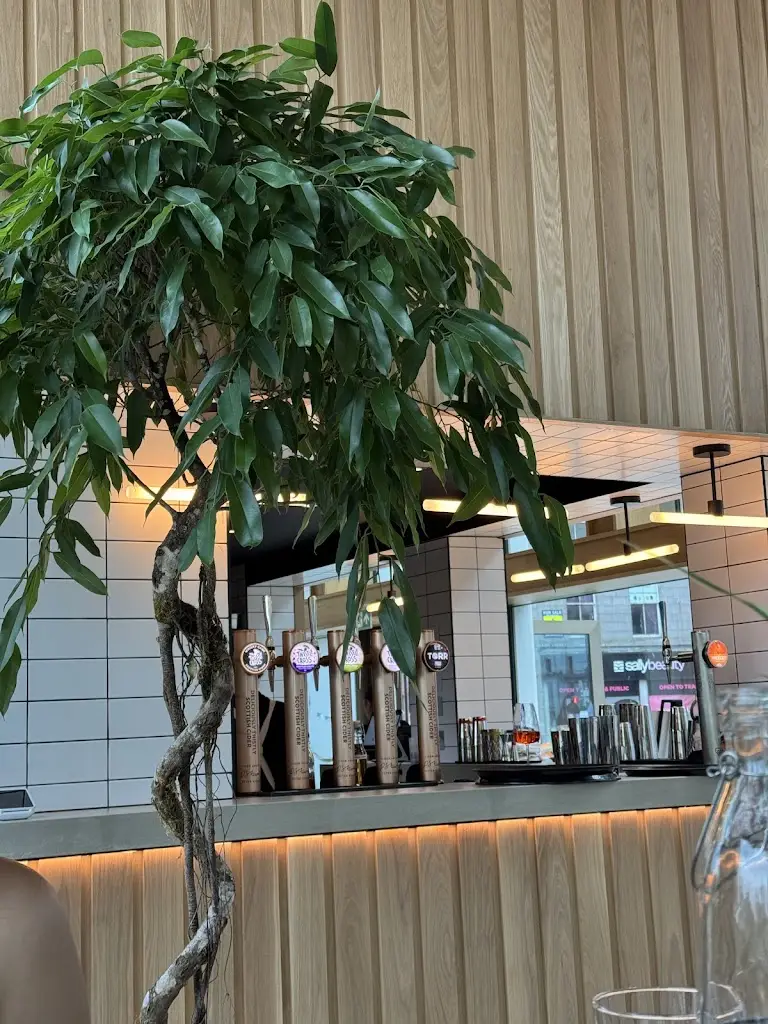 Andria C_Wild Goose_Aberdeen_review