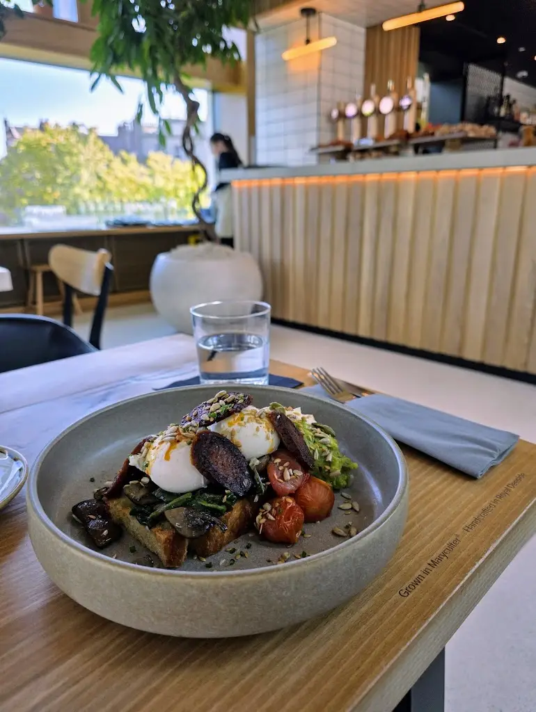 Nicola Webster_Wild Goose_Aberdeen_review