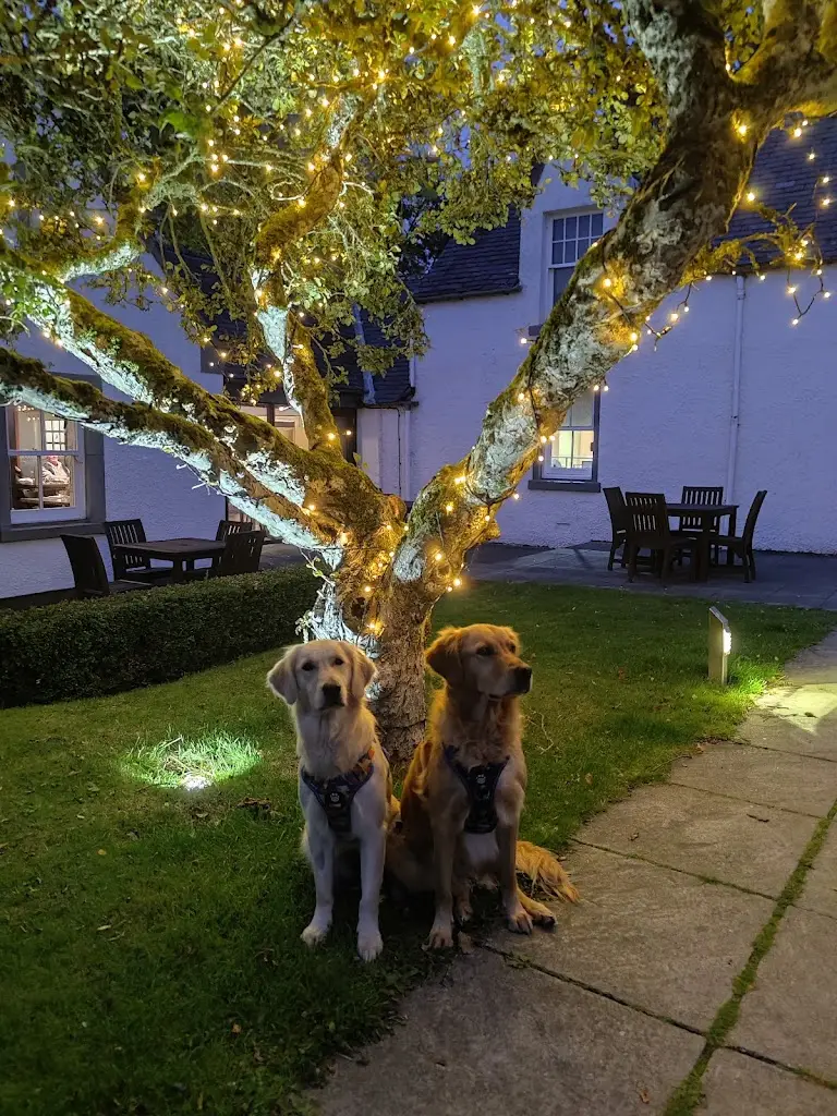 Lina Mistry-Miles_Drovers Inn Restaurant_Angus_review