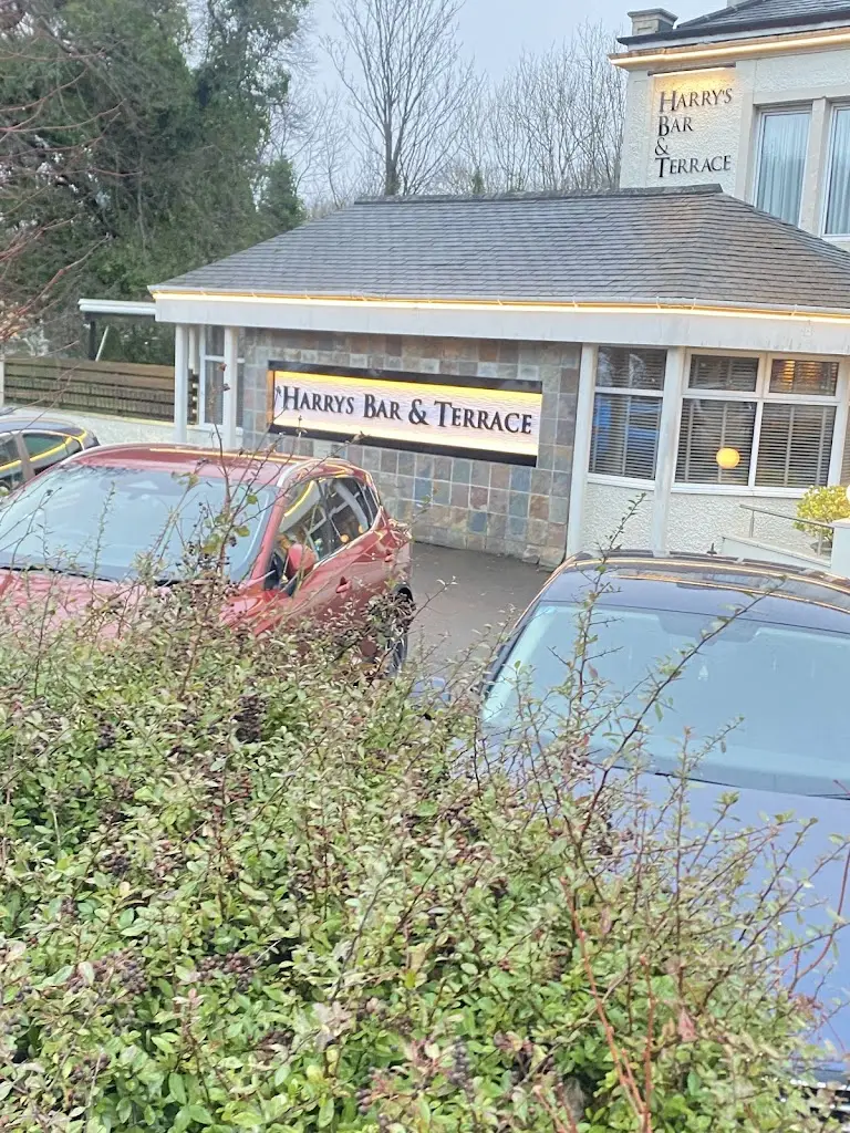 Harry's Bar & Terrace_Airdrie_slider_image_2