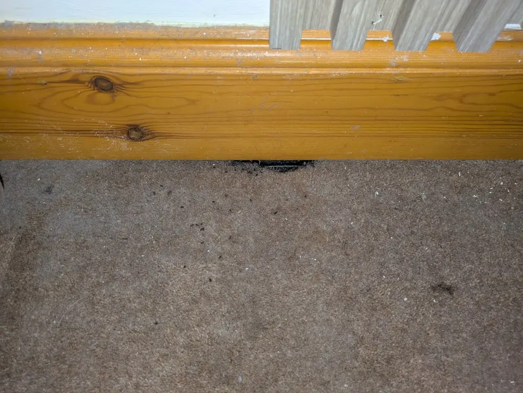 Donnie_The Grey Gull Hotel_Ardrishaig_review