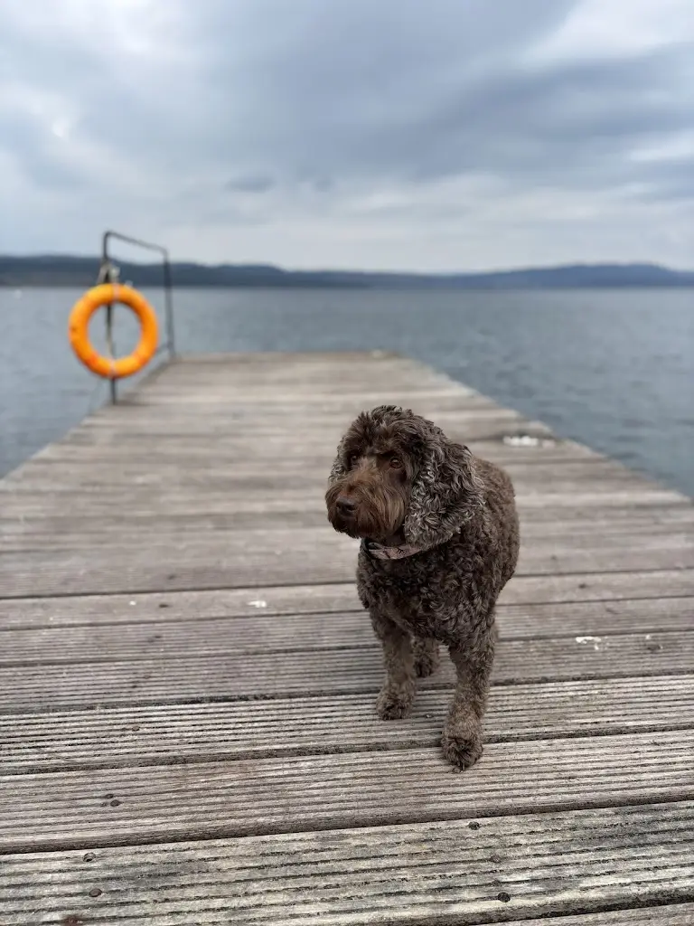 Rich Hudson_The Oystercatcher_Ardrishaig_review