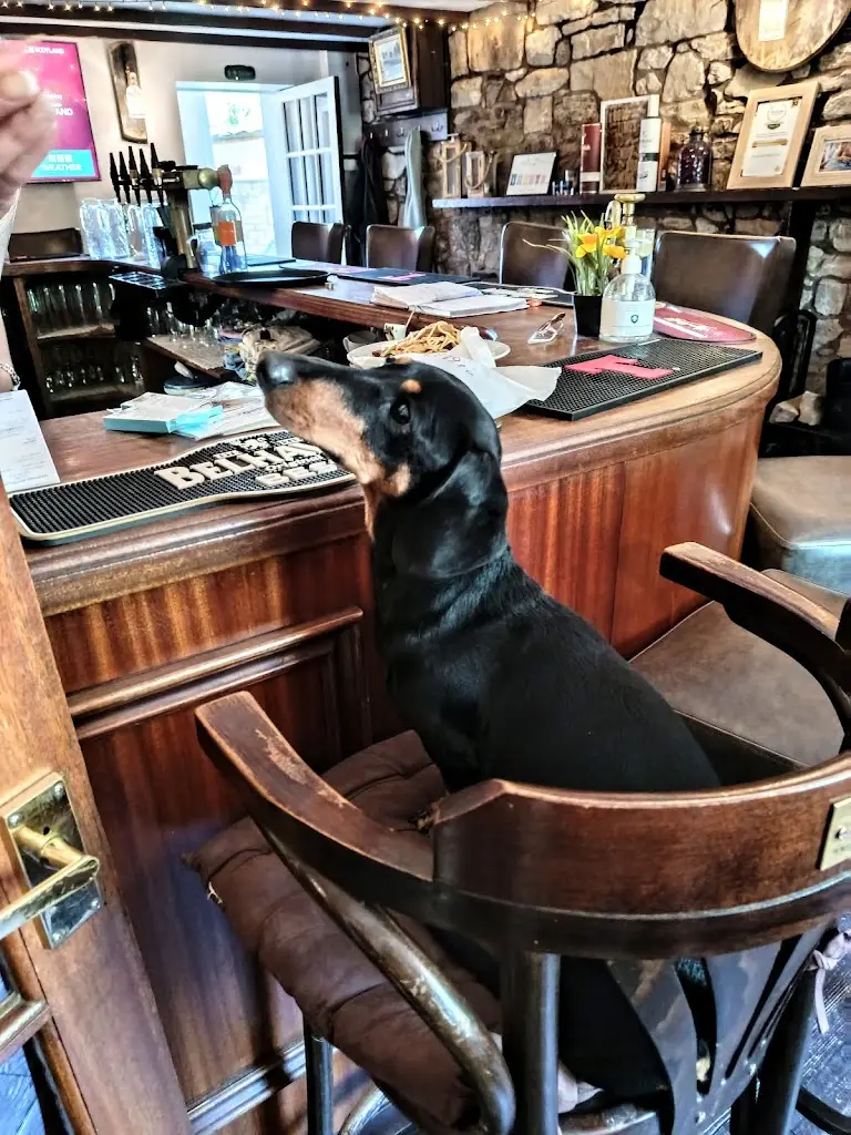 Dianne Taylor_The Kettlebridge Inn, Bar & Italian Restaurant_Auchtermuchty_review