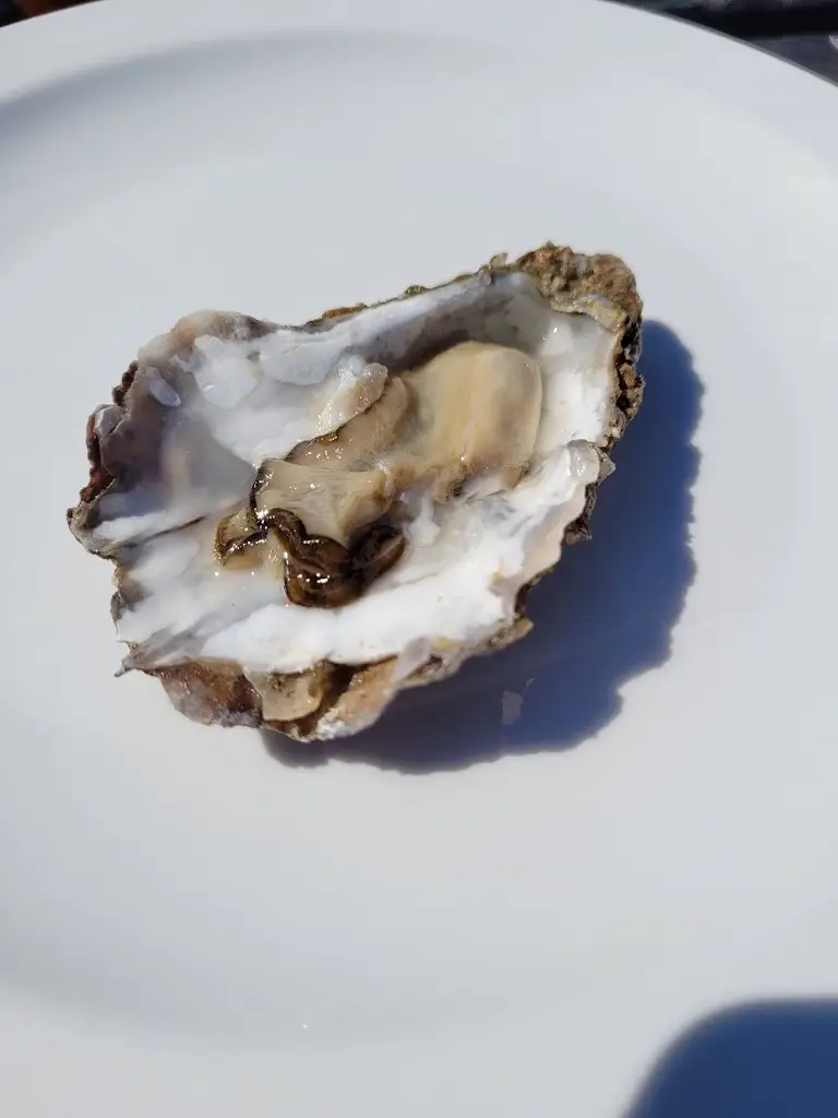 Menu_Skipness Seafood Cabin_Argyll and Bute_image_6