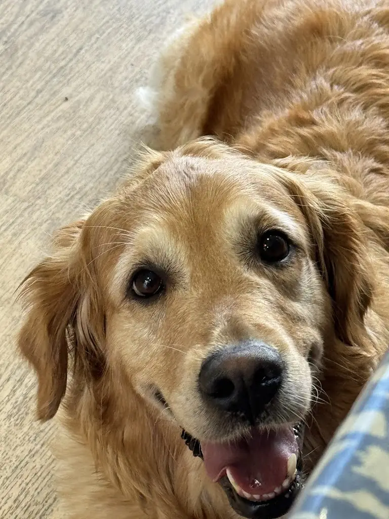 Stefan_Food From Argyll at the Pier_Argyll and Bute_review