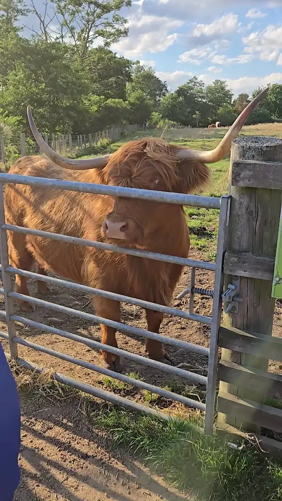 Lonnie Perry_Taste Perthshire_Bankfoot_reseña