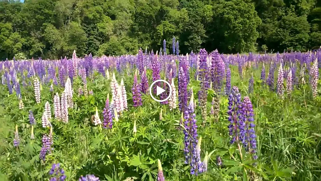 Bankfoot Inn_Bankfoot_slider_image_2