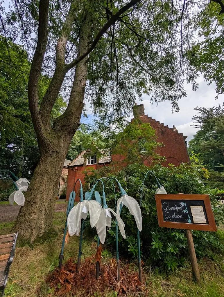 Amy F._The Soup Dragon Cafe_Balfron_review